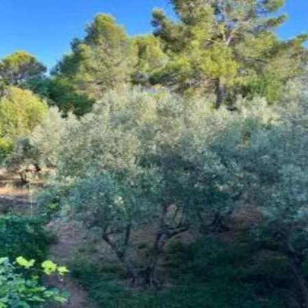 Plain Pied Vakantiehuis Sommières