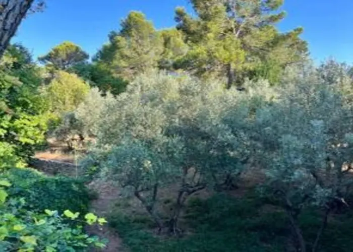 Plain Pied Prázdninový dům Sommières